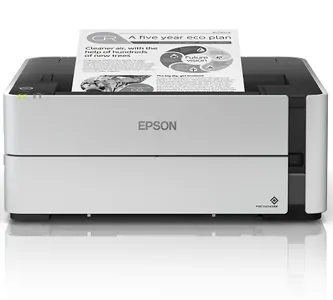Замена головки на принтере Epson M1180 в Красноярске